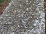 image of grave number 40277